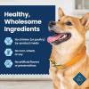 imageBlue Buffalo Dental Chews Medium Natural Dog Treats Chicken ampamp Spearmint 345oz Bag 42 CountMedium Bones For Dogs 2050 lbs