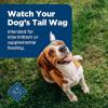 imageBlue Buffalo Nudges Bitesize Chewy Dog Treats with Real USA Beef Made with Natural Ingredients Great for OntheGo 55oz ContainerBeef