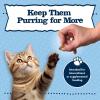 imageBlue Buffalo Baby BLUE Kitten Crunchies Crunchy Cat Treats GrainFree Recipe Made with Natural Ingredients Savory Salmon 2oz Bag