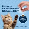 imageBlue Buffalo Baby BLUE Natural GrainFree Dry Food for Kittens Healthy Growth Formula with DHA HighProtein Savory Chicken Recipe 45lb BagChicken