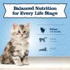 imageBlue Buffalo Baby BLUE Natural GrainFree Dry Food for Kittens Healthy Growth Formula with DHA HighProtein Savory Chicken Recipe 45lb BagChicken