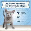 imageBlue Buffalo Baby Blue Natural GrainFree Wet Food for Kittens Healthy Growth Formula with DHA HighProtein Chicken Pat 3 oz CanChicken  Salmon