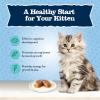 imageBlue Buffalo Baby Blue Natural GrainFree Wet Food for Kittens Healthy Growth Formula with DHA HighProtein Chicken Pat 3 oz CanChicken  Salmon
