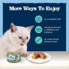 imageBlue Buffalo Baby Blue Natural GrainFree Wet Food for Kittens Healthy Growth Formula with DHA HighProtein Chicken Pat 3 oz CanChicken  Salmon