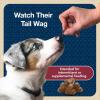 imageBlue Buffalo Bits Soft Dog Treats for Training Made With Natural Ingredients ampamp Enhanced with DHA Beef Recipe 19oz BagBeef