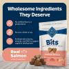 imageBlue Buffalo Bits Soft Dog Treats for Training Made With Natural Ingredients ampamp Enhanced with DHA Beef Recipe 19oz BagSalmon