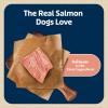 imageBlue Buffalo Bits Soft Dog Treats for Training Made With Natural Ingredients ampamp Enhanced with DHA Beef Recipe 19oz BagSalmon