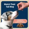 imageBlue Buffalo Bits Soft Dog Treats for Training Made With Natural Ingredients ampamp Enhanced with DHA Beef Recipe 19oz BagSalmon