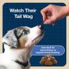 imageBlue Buffalo Bits Soft Dog Treats for Training Made With Natural Ingredients ampamp Enhanced with DHA Beef Recipe 19oz BagVariety Pack Beef  Salmon  Turkey  and Chicken