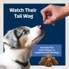 imageBlue Buffalo Bits Soft Dog Treats for Training Made With Natural Ingredients ampamp Enhanced with DHA Beef Recipe 19oz BagVariety Pack Chicken  Beef