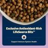 imageBlue Buffalo Freedom GrainFree Indoor Dry Kitten Food with DHA Complete ampamp Balanced Nutrition for Kittens Chicken Recipe 5lb BagChicken