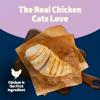 imageBlue Buffalo Freedom GrainFree Indoor Dry Kitten Food with DHA Complete ampamp Balanced Nutrition for Kittens Chicken Recipe 5lb BagChicken