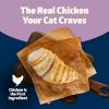 imageBlue Buffalo Freedom GrainFree Kitten Wet Cat Food Complete ampamp Balanced Nutrition for Kittens Made with Natural Ingredients Chicken Recipe 3oz Cans 24 Count