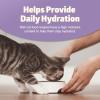 imageBlue Buffalo Freedom GrainFree Kitten Wet Cat Food Complete ampamp Balanced Nutrition for Kittens Made with Natural Ingredients Chicken Recipe 3oz Cans 24 Count