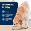 imageBlue Buffalo Freedom GrainFree Senior Wet Dog Food Free of Glutens ampamp Artificial Preservatives Made With Natural Ingredients Chicken Recipe 125oz Cans 12 Count
