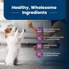 imageBlue Buffalo Life Protection Formula Small Breed Senior Dry Dog Food Supports Joint Health and Immunity Made with Natural Ingredients Chicken ampamp Brown Rice Recipe 15lb BagChicken  Brown Rice