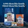 imageBlue Buffalo Wilderness Crunchy Cat Treats GrainFree Treats for Cats Made with Natural Ingredients Great for Training Tasty Chicken Flavor 12oz TubChicken  Turkey