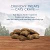 imageBlue Buffalo Wilderness Crunchy Cat Treats GrainFree Treats for Cats Made with Natural Ingredients Great for Training Tasty Chicken Flavor 12oz TubTrout
