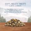 imageBlue Buffalo Wilderness Grain Free SoftMoist Cat Treats Chicken ampamp Salmon 8oz BagChicken  Salmon