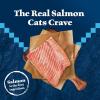 imageBlue Buffalo Wilderness Natural Adult Dry Cat Food HighProtein and GrainFree Diet Supports Healthy Muscle Development and a Healthy Immune System Chicken 12lb BagSalmon