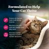 imageBlue Buffalo Wilderness Natural Adult Dry Cat Food HighProtein and GrainFree Diet Supports Healthy Muscle Development and a Healthy Immune System Chicken 12lb BagSalmon