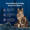 imageBlue Buffalo Wilderness Natural Adult Dry Cat Food HighProtein and GrainFree Diet Supports Healthy Muscle Development and a Healthy Immune System Chicken 12lb BagChicken