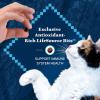 imageBlue Buffalo Wilderness Natural Adult Dry Cat Food HighProtein and GrainFree Diet Supports Healthy Muscle Development and a Healthy Immune System Chicken 12lb BagDuck