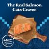 imageBlue Buffalo Wilderness Natural High Protein Grain Free Salmon Pate Wet Food for Kittens 3 oz Case of 24Salmon