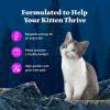 imageBlue Buffalo Wilderness Natural High Protein Grain Free Salmon Pate Wet Food for Kittens 3 oz Case of 24Salmon