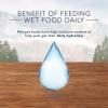 imageBlue Buffalo Wilderness Natural High Protein Grain Free Salmon Pate Wet Food for Kittens 3 oz Case of 24Variety Pack Chicken  Salmon