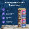 imageBlue Buffalo Wilderness Natural High Protein Grain Free Salmon Pate Wet Food for Kittens 3 oz Case of 24Variety Pack Chicken  Salmon