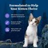 imageBlue Buffalo Wilderness Natural High Protein Grain Free Salmon Pate Wet Food for Kittens 3 oz Case of 24Variety Pack Chicken  Salmon