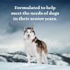 imageBlue Buffalo Wilderness Natural High Protein Wet Food for Senior Dogs Turkey ampamp Chicken 125oz Cans 12CountTurkey  Chicken