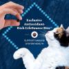 imageBlue Buffalo Wilderness Natural HighProtein Chicken Kitten Dry Cat Food 2 lbs