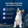 imageBlue Buffalo Wilderness Natural Kitten Dry Cat Food with DHA and ARA to Support Brain and Eye Development HighProtein and GrainFree Diet Chicken 5lb Bag