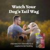 imageBlue Buffalo Wilderness Wild Bits Soft ampamp Chewy Training Treats for Dogs GrainFree Chicken Recipe 4oz BagSalmon