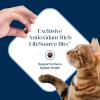 imageBlue Buffalo Basics GrainFree Dry Cat Food Skin ampamp Stomach Care Limited Ingredient Diet for Indoor Cats Turkey ampamp Potato Recipe 11lb BagFish  Potato