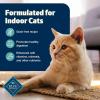 imageBlue Buffalo Freedom GrainFree Adult Dry Cat Food Complete ampamp Balanced Nutrition for Indoor Cats Made with Natural Ingredients Chicken Recipe 11lb BagFish
