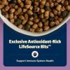 imageBlue Buffalo Freedom GrainFree Adult Dry Cat Food Complete ampamp Balanced Nutrition for Indoor Cats Made with Natural Ingredients Chicken Recipe 11lb BagChicken