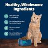 imageBlue Buffalo Freedom GrainFree Adult Dry Cat Food Complete ampamp Balanced Nutrition for Indoor Cats Made with Natural Ingredients Chicken Recipe 11lb BagFish