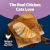imageBlue Buffalo Freedom GrainFree Adult Dry Cat Food Complete ampamp Balanced Nutrition for Indoor Cats Made with Natural Ingredients Chicken Recipe 11lb BagChicken
