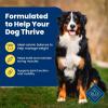 imageBlue Buffalo Life Protection Formula Adult Dry Dog Food Helps Build and Maintain Strong Muscles Made with Natural Ingredients Lamb ampamp Brown Rice Recipe 30lb BagHealthy Weight Chicken  Brown Rice