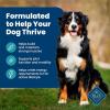 imageBlue Buffalo Life Protection Formula Adult Dry Dog Food Helps Build and Maintain Strong Muscles Made with Natural Ingredients Lamb ampamp Brown Rice Recipe 30lb BagFish  Brown Rice
