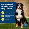 imageBlue Buffalo Life Protection Formula Adult Dry Dog Food Helps Build and Maintain Strong Muscles Made with Natural Ingredients Lamb ampamp Brown Rice Recipe 30lb BagHealthy Weight Chicken  Brown Rice