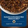 imageBlue Buffalo Life Protection Formula Adult Dry Dog Food Helps Build and Maintain Strong Muscles Made with Natural Ingredients Lamb ampamp Brown Rice Recipe 30lb BagHealthy Weight Chicken  Brown Rice