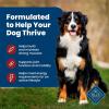 imageBlue Buffalo Life Protection Formula Adult Dry Dog Food Helps Build and Maintain Strong Muscles Made with Natural Ingredients Lamb ampamp Brown Rice Recipe 30lb BagBeef  Brown Rice