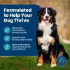 imageBlue Buffalo Life Protection Formula Adult Dry Dog Food Helps Build and Maintain Strong Muscles Made with Natural Ingredients Lamb ampamp Brown Rice Recipe 30lb BagFish  Brown Rice