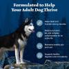 imageBlue Buffalo Wilderness Adult HighProtein Dry Dog Food with Real Chicken GrainFree Made in the USA with Natural Ingredients Chicken 24lb Bag