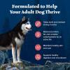 imageBlue Buffalo Wilderness Adult HighProtein Dry Dog Food with Real Salmon GrainFree Made in the USA with Natural Ingredients Salmon 24lb BagSalmon  Grain Free