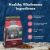 imageBlue Buffalo Wilderness Adult HighProtein Dry Dog Food with Real Salmon GrainFree Made in the USA with Natural Ingredients Salmon 24lb BagSalmon  Grain Free